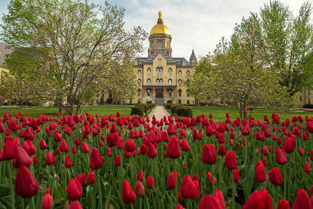 Main Building Of Notre Dame In The Spring